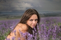 Lavender Storm: Tessa #8 of 12